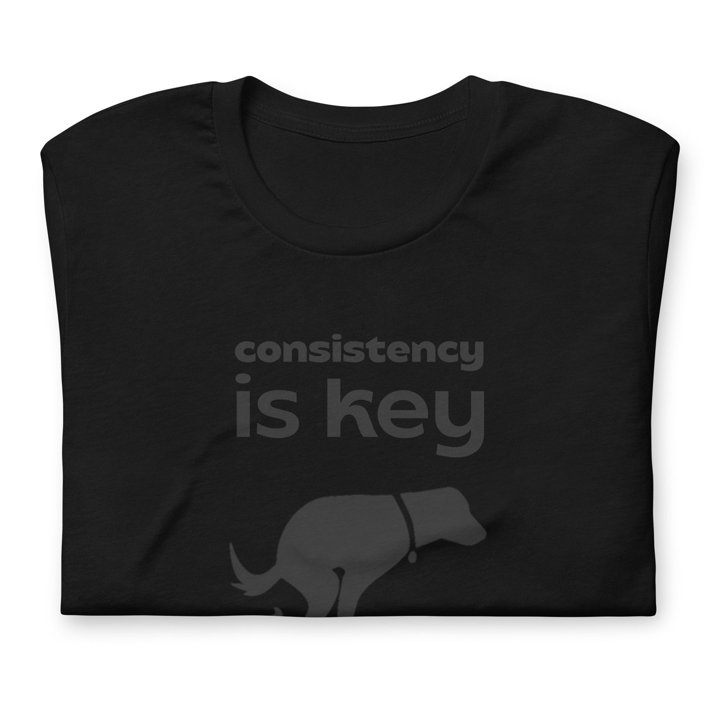 Consistency is Key - Cotton Tee Shirt