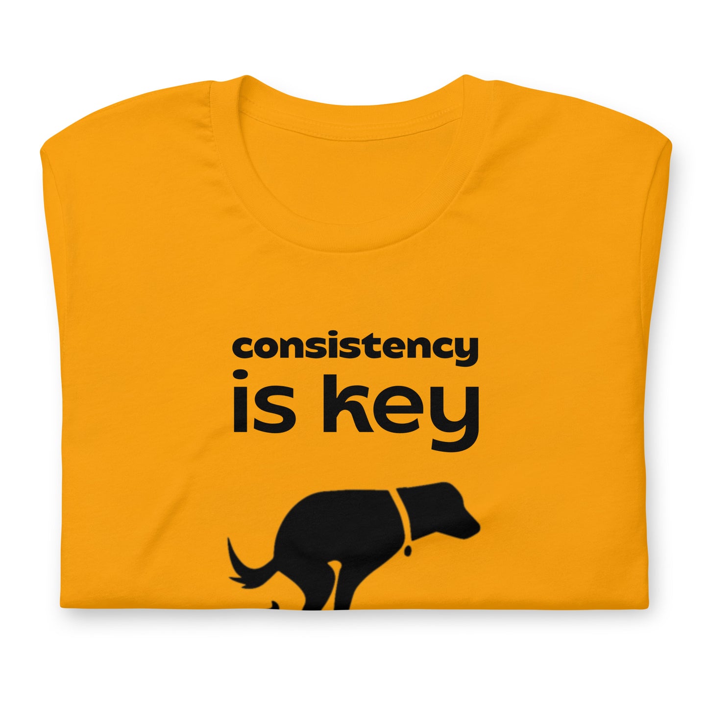 Consistency is Key - Cotton Tee Shirt