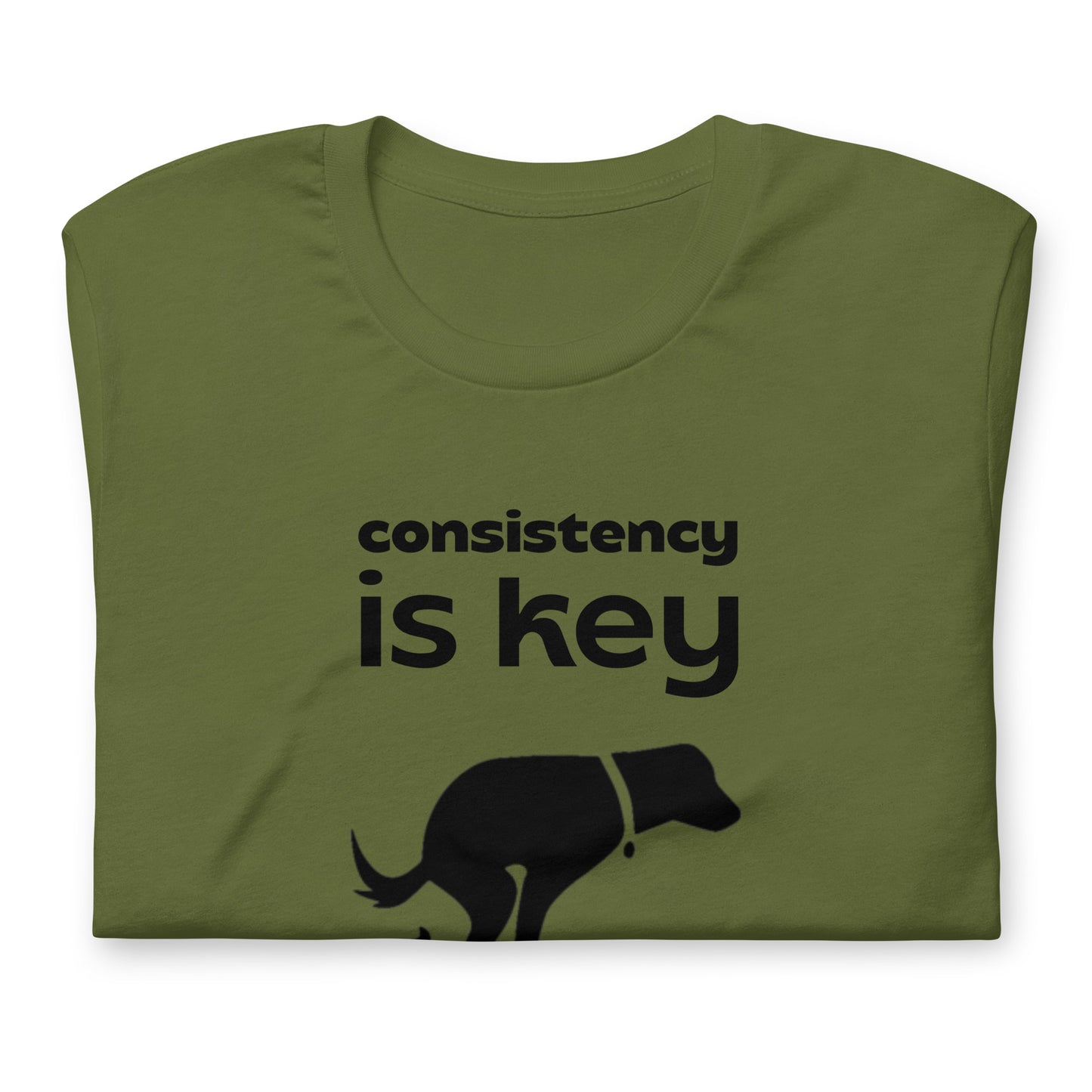 Consistency is Key - Cotton Tee Shirt