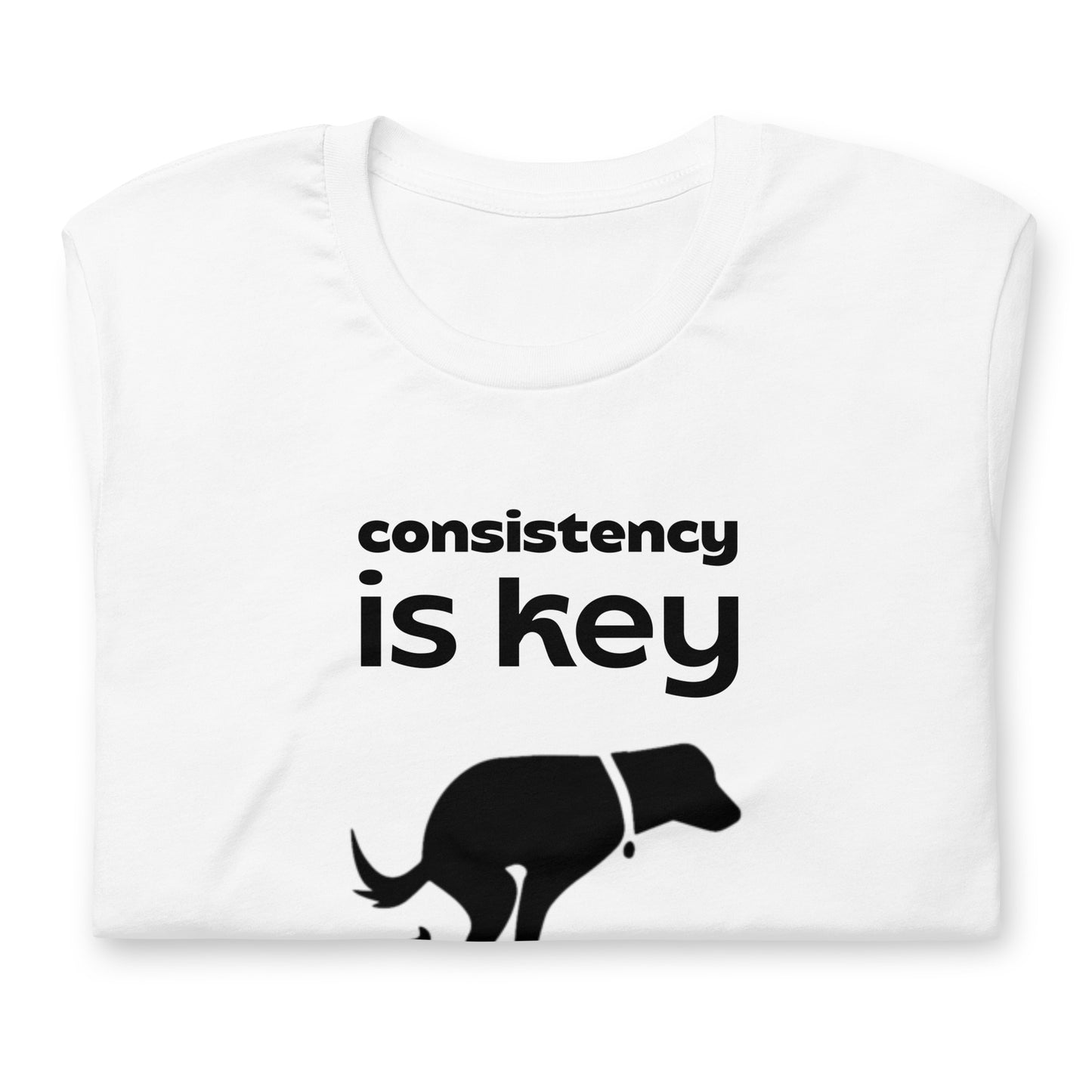 Consistency is Key - Cotton Tee Shirt